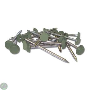 65mm Plastic Headed Nails (Chartwell Green) (Green 9)